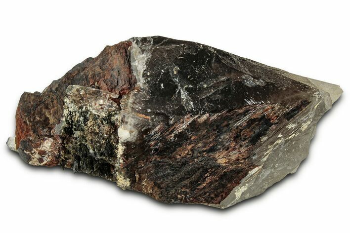Niobophyllite on a Smoky Quartz Crystal - Malawi #326635